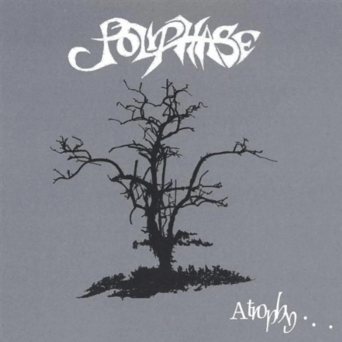 Polyphase INCISION CD