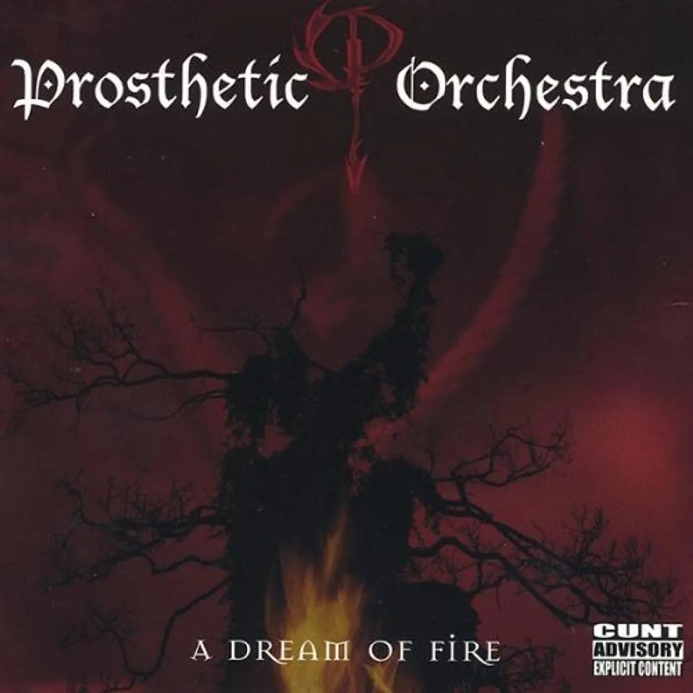 Prosthetic Orchestra DREAM OF FIRE CD