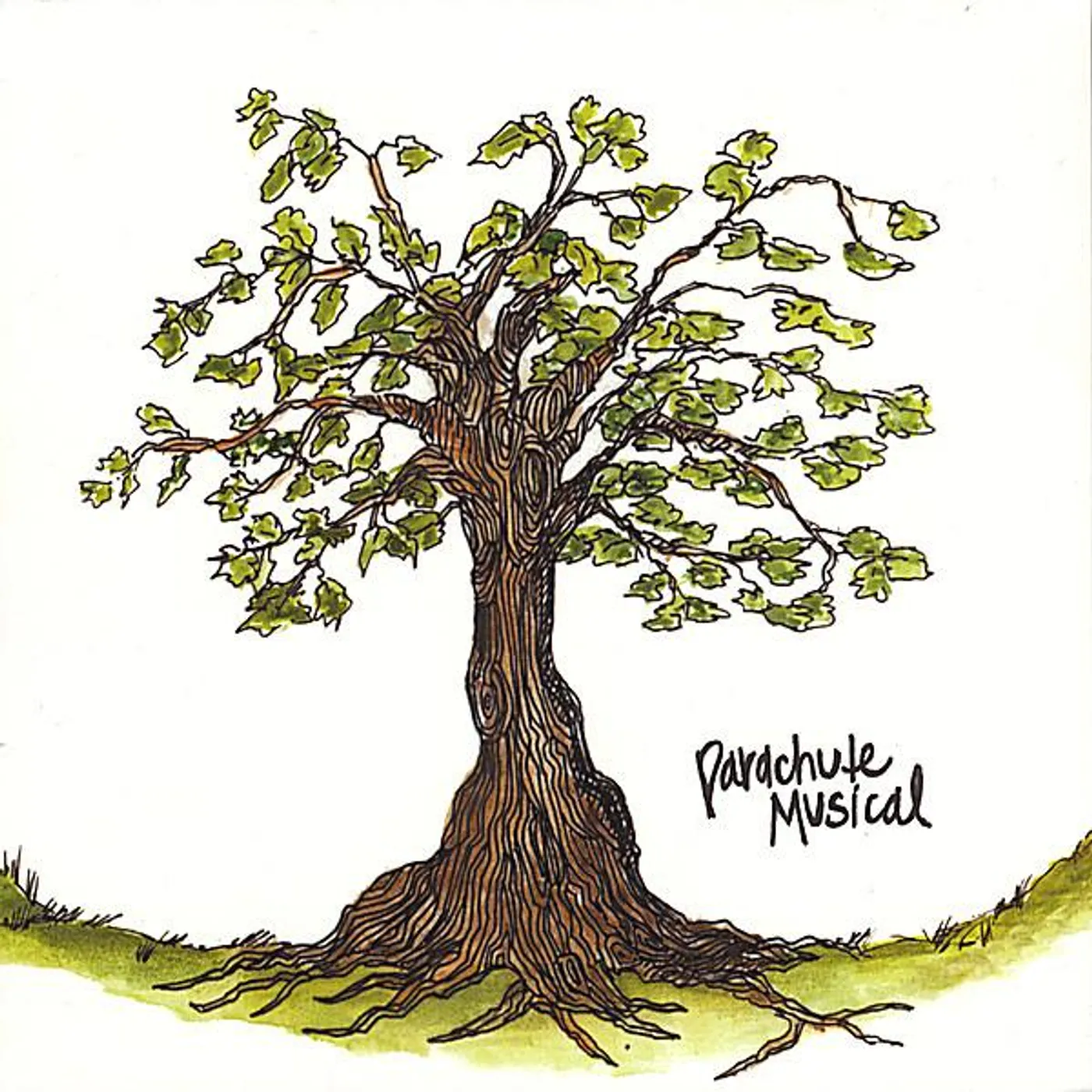 Parachute Musical EVERYTHING IS WORKING OUT FINE IN SOME TOWN CD