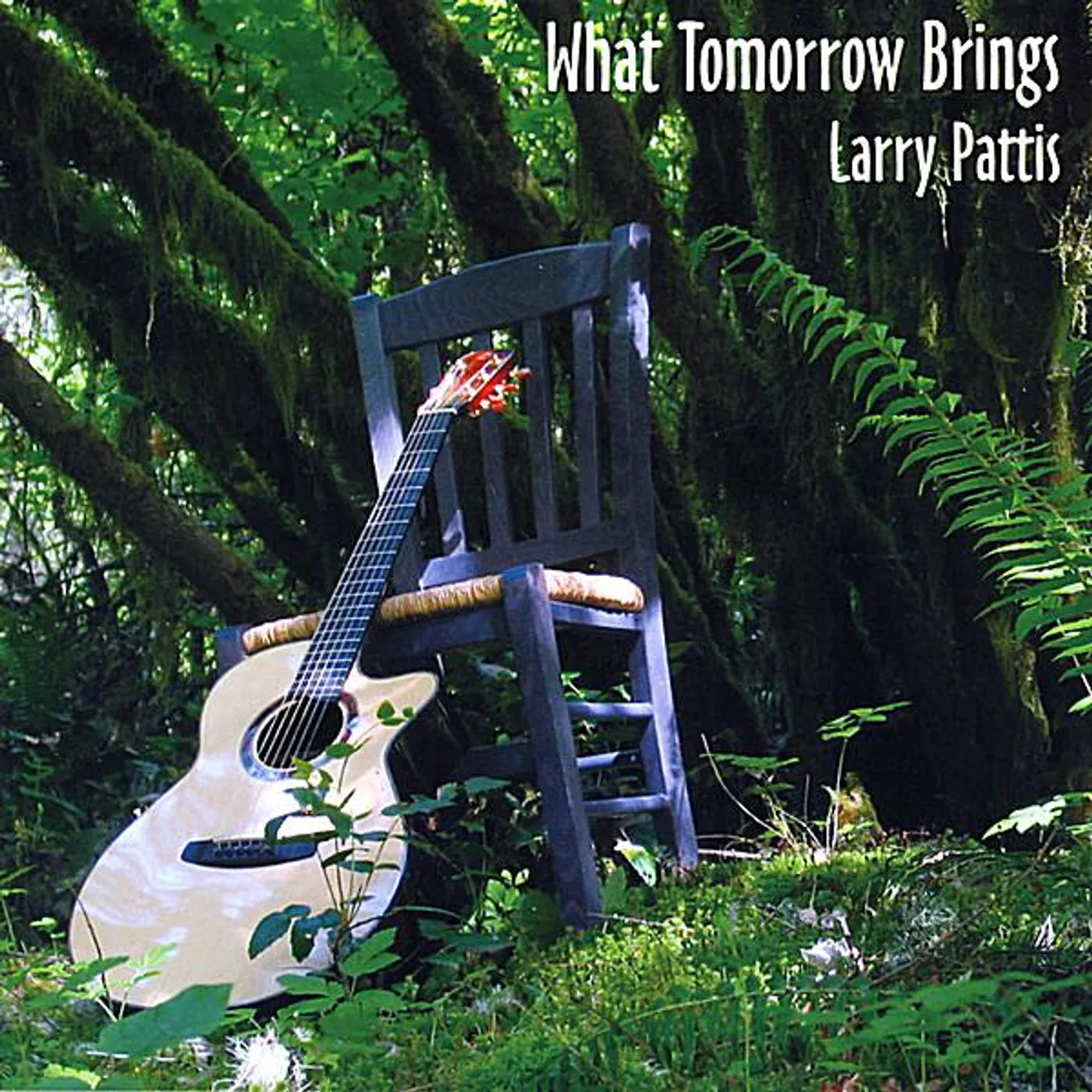 Larry Pattis WHAT TOMORROW BRINGS CD