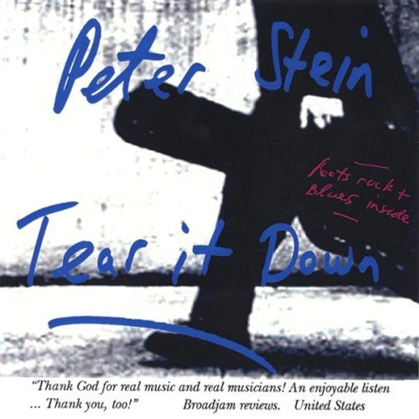 Peter Stein TEAR IT DOWN CD