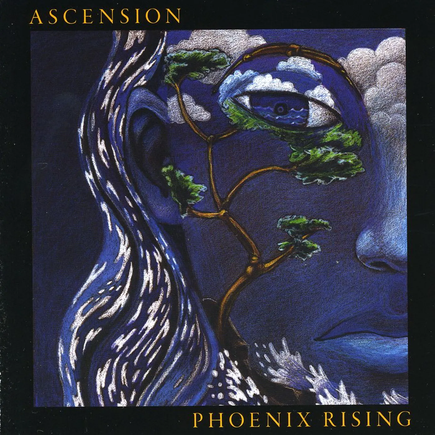 Phoenix Rising ASCENSION CD