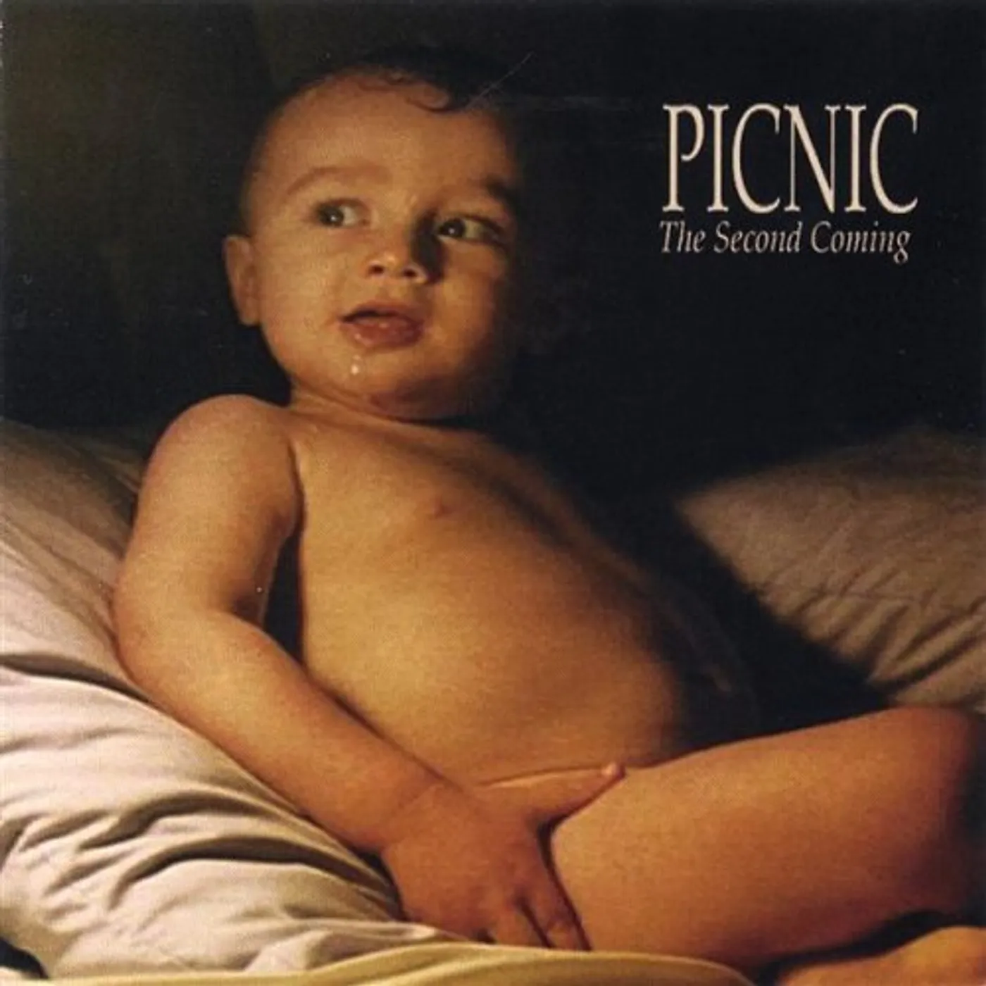 Picnic SECOND COMING CD