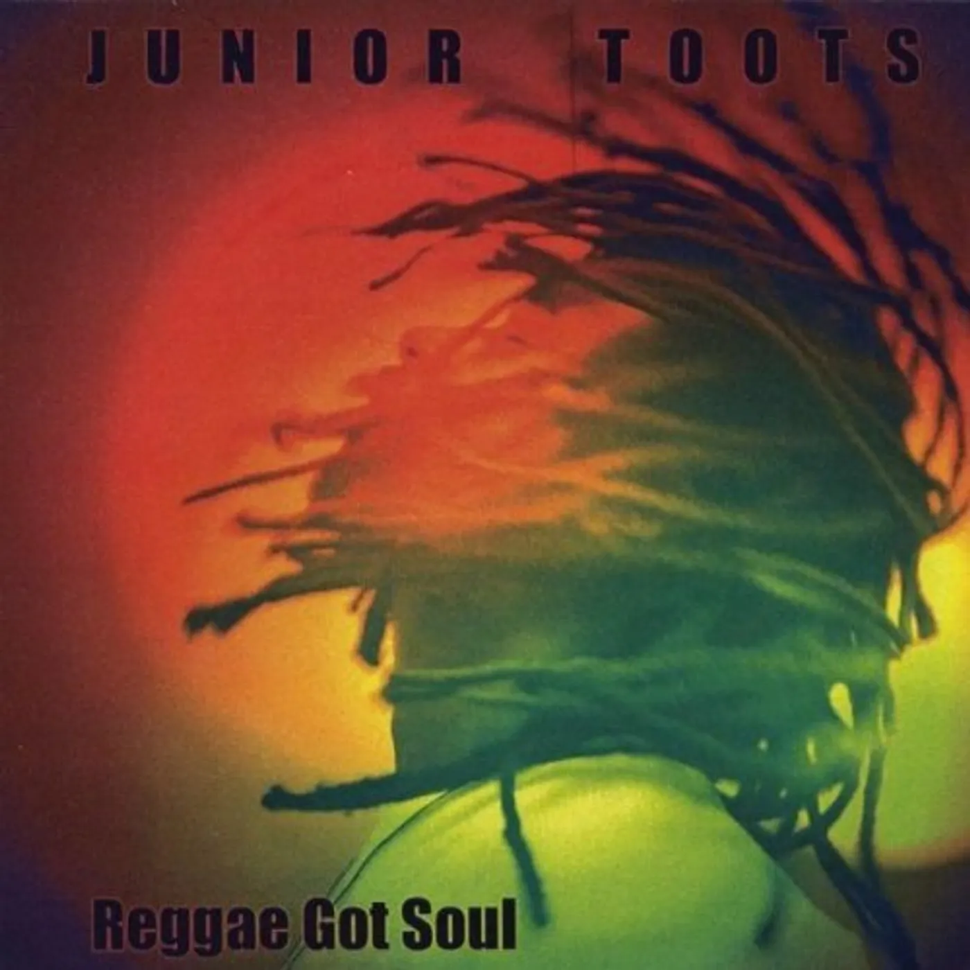 Junior Toots REGGAE GOT SOUL CD
