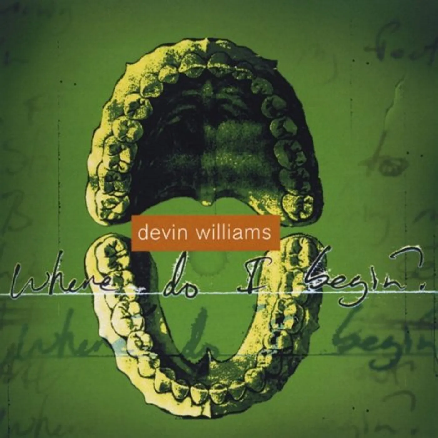 Devin Williams WHERE DO I BEGIN CD