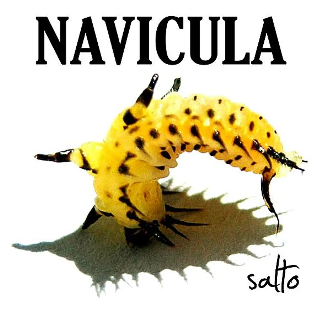 Navicula SALTO CD
