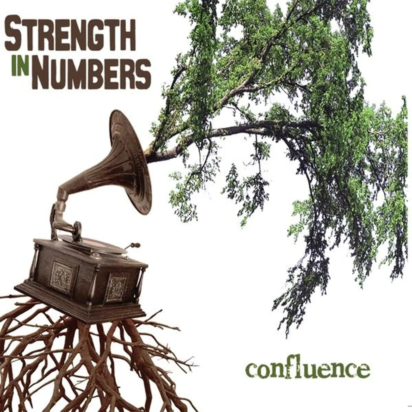 Strength In Numbers CONFLUENCE CD