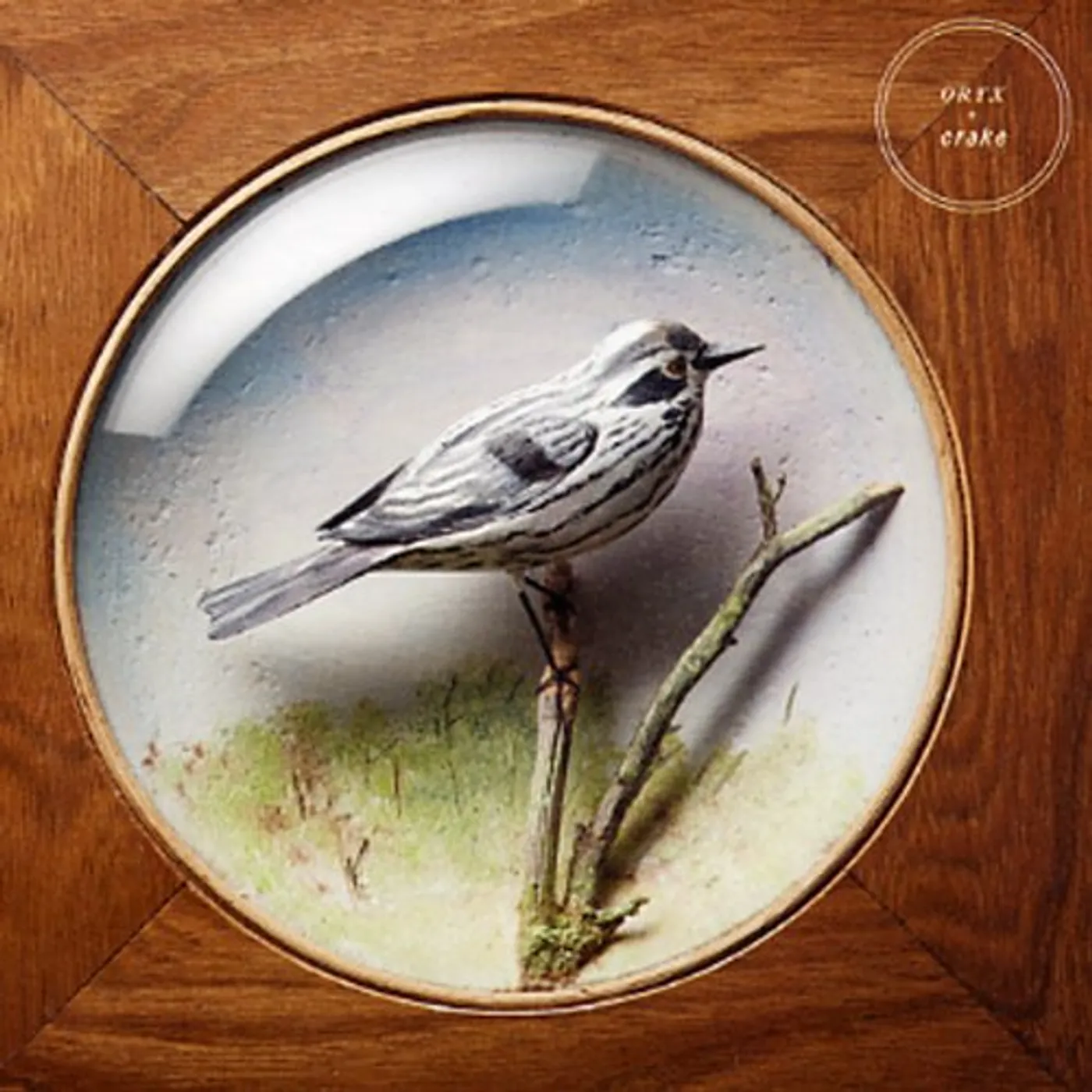 Oryx & Crake ORYX + CRAKE CD