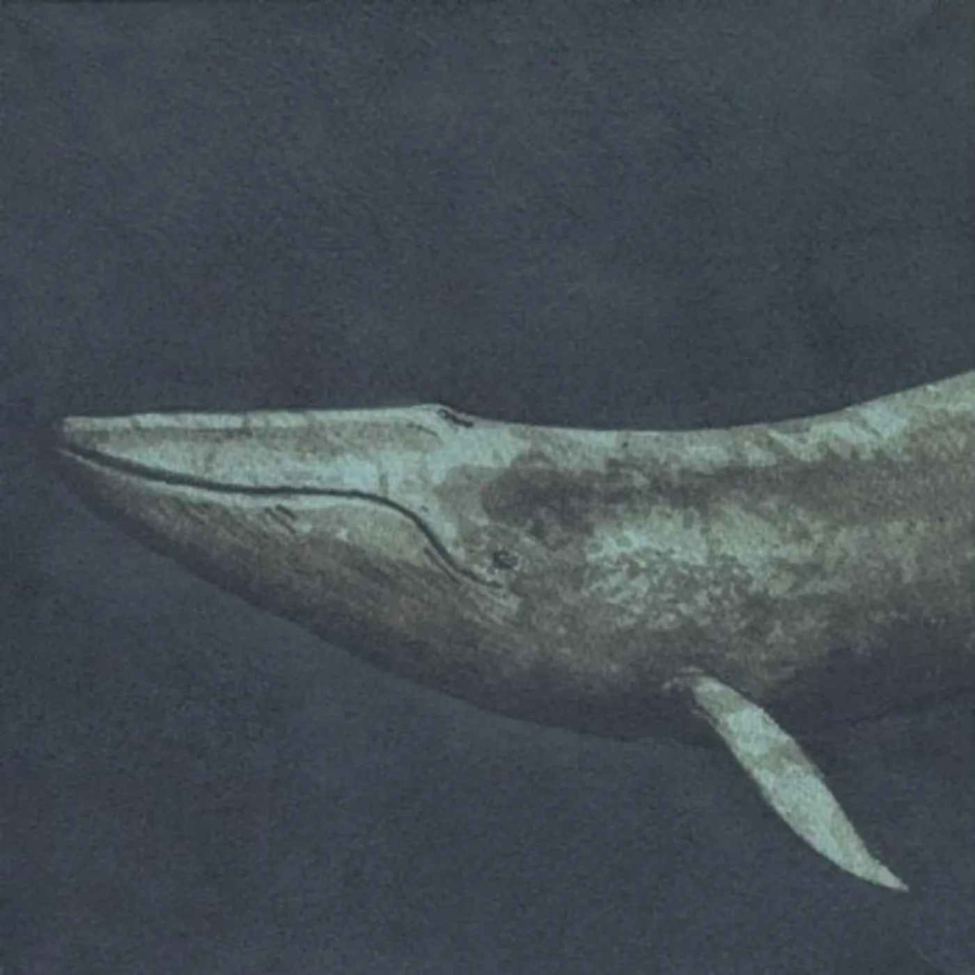 Seth Bernard BEING THIS BEING (REMASTERED) CD