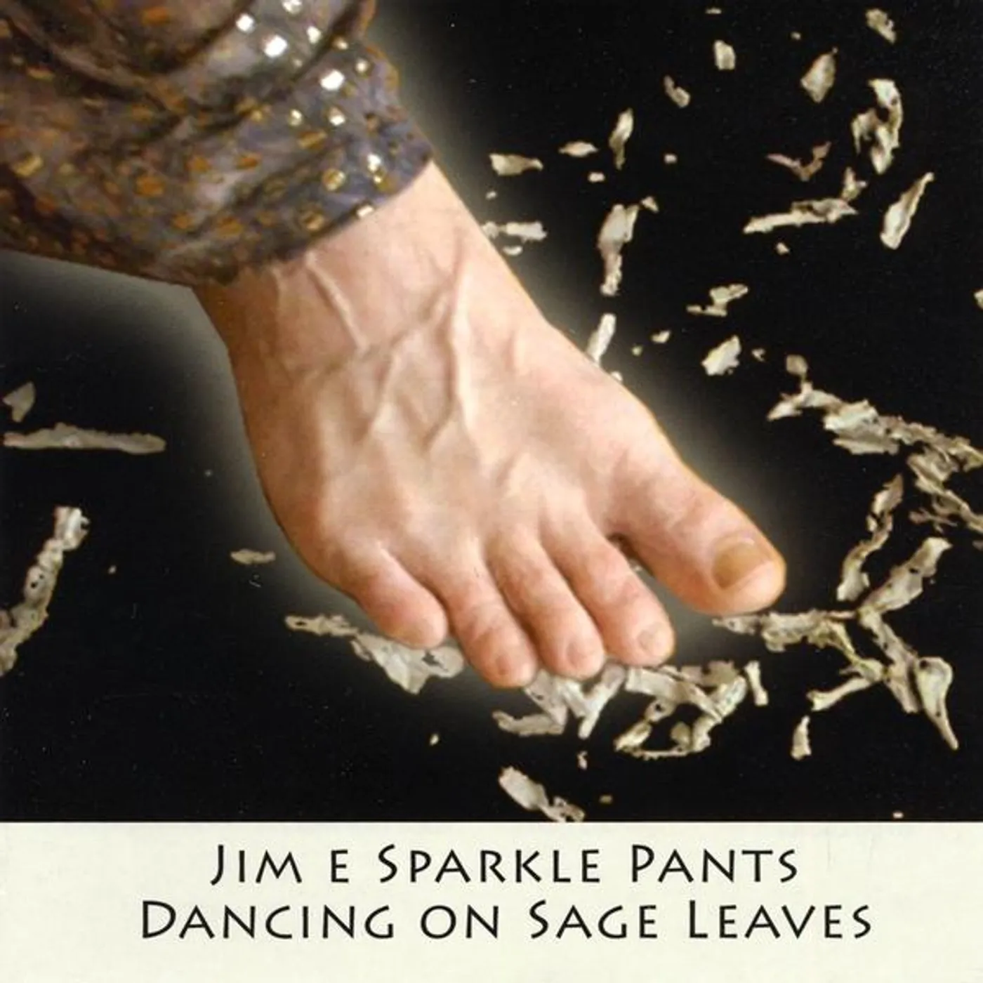 Jim E Sparkle Pants DANCING ON SAGE LEAVES CD