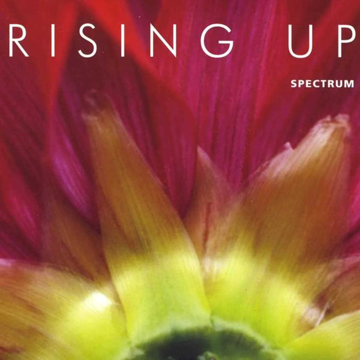 Spectrum RISING UP CD