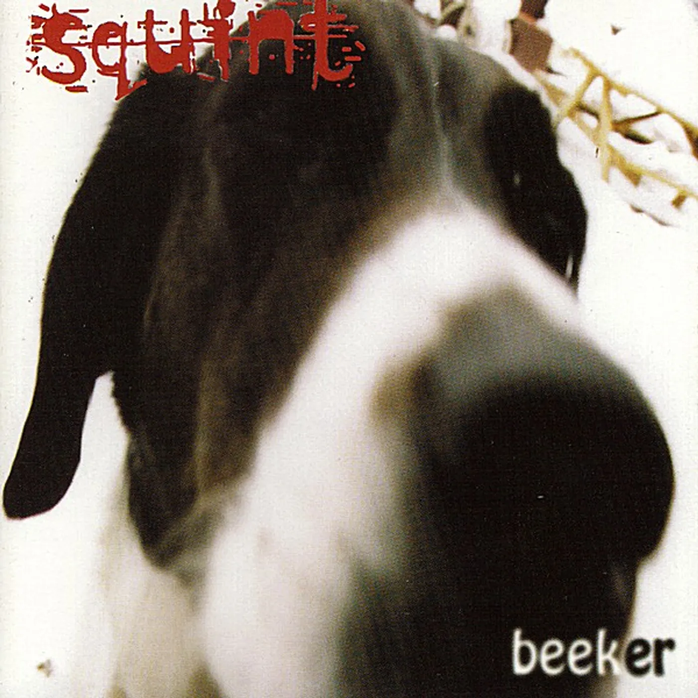 Squint BEEKER CD