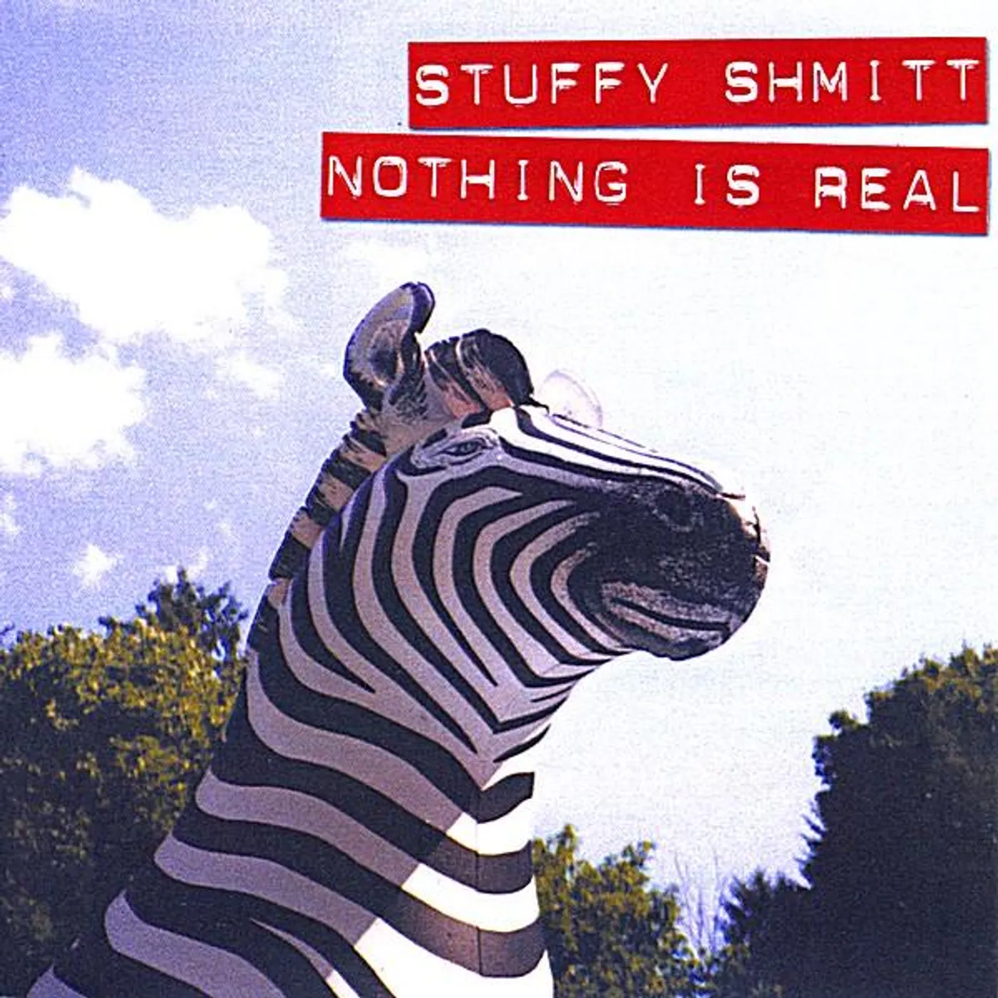 Stuffy Shmitt NOTHING IS REAL CD