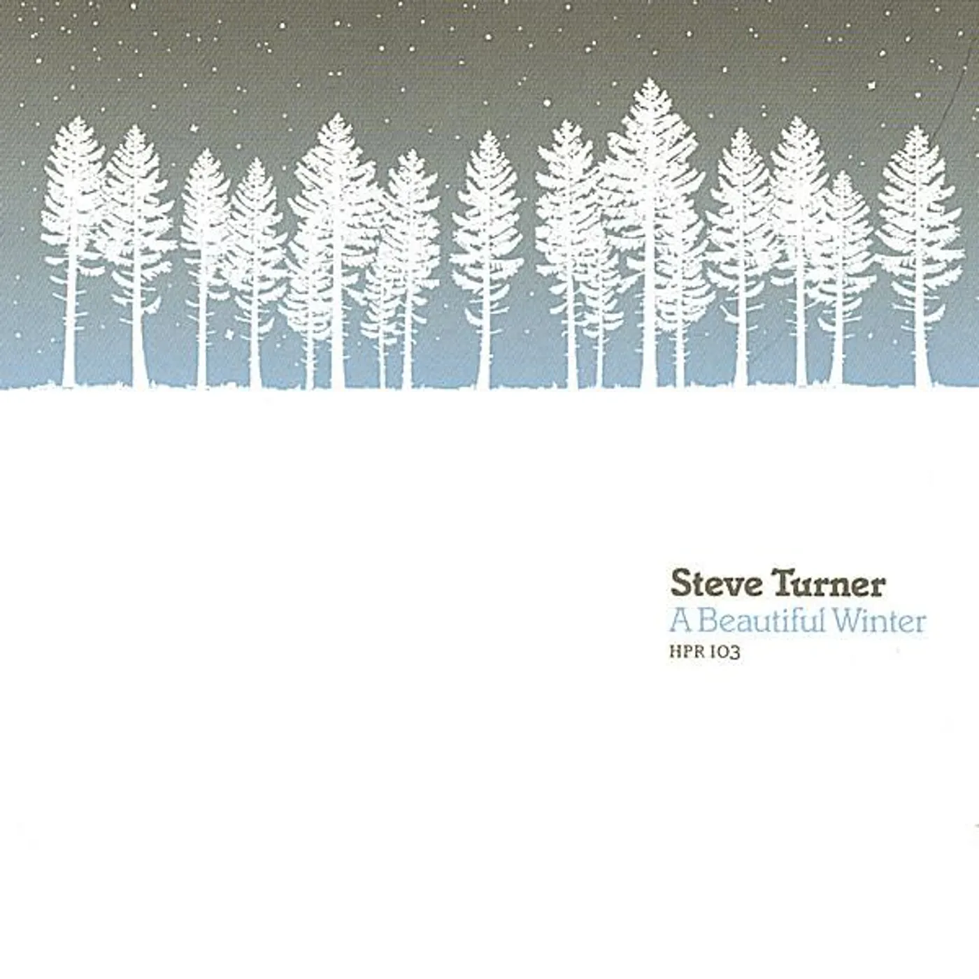 Steve Turner BEAUTIFUL WINTER CD