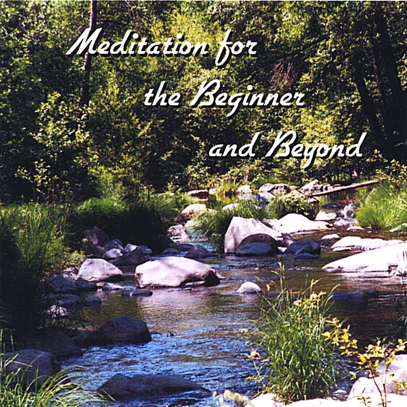 Suz Webster MEDITATION FOR BEGINNER & BEYOND CD