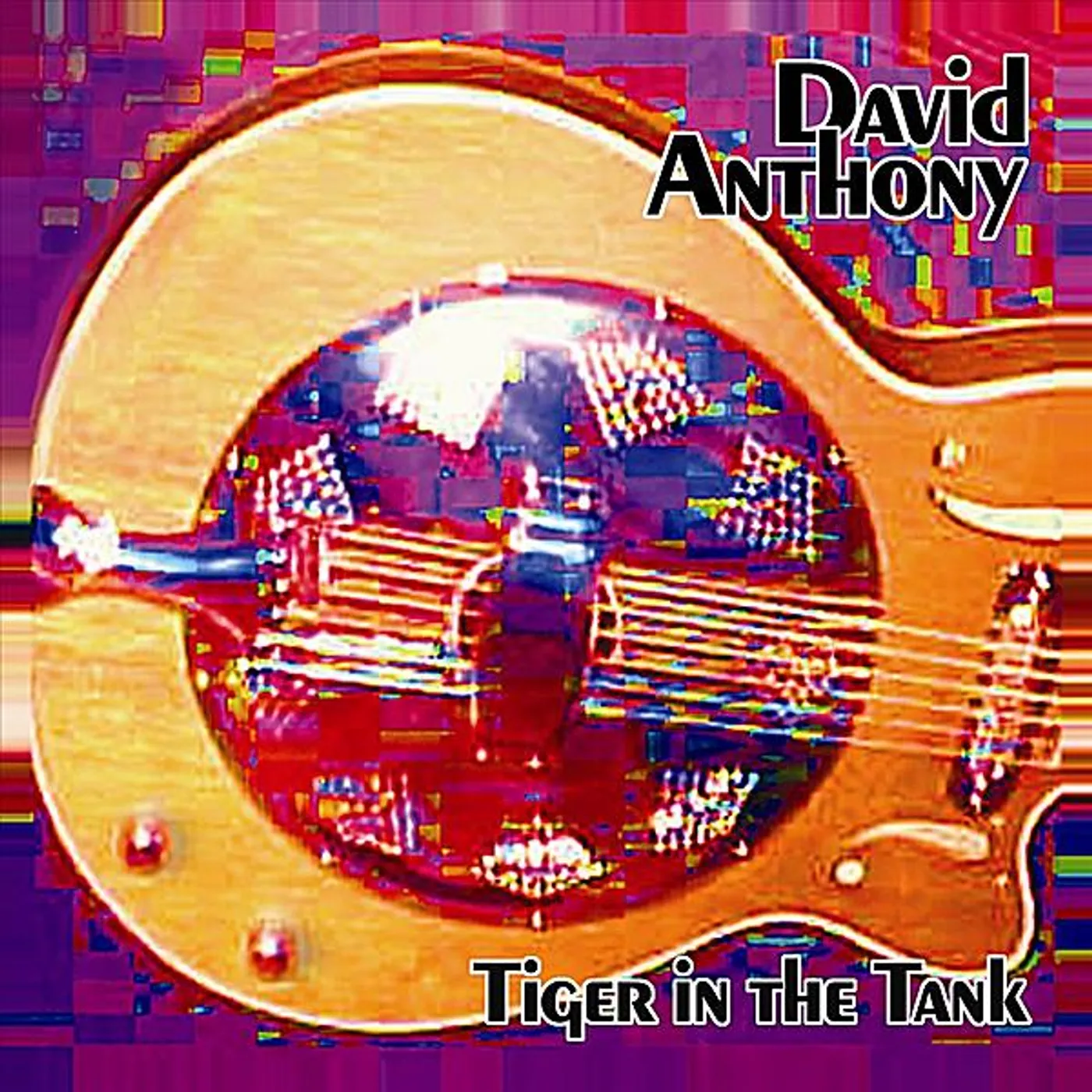 Anthony David TIGER IN THE TANK CD