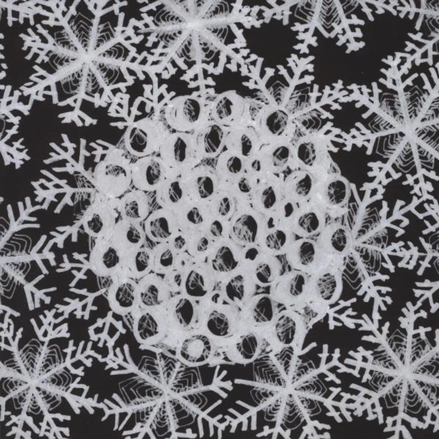 Majutsu no Niwa ECSTATIC CRYSTALLIZATION CD