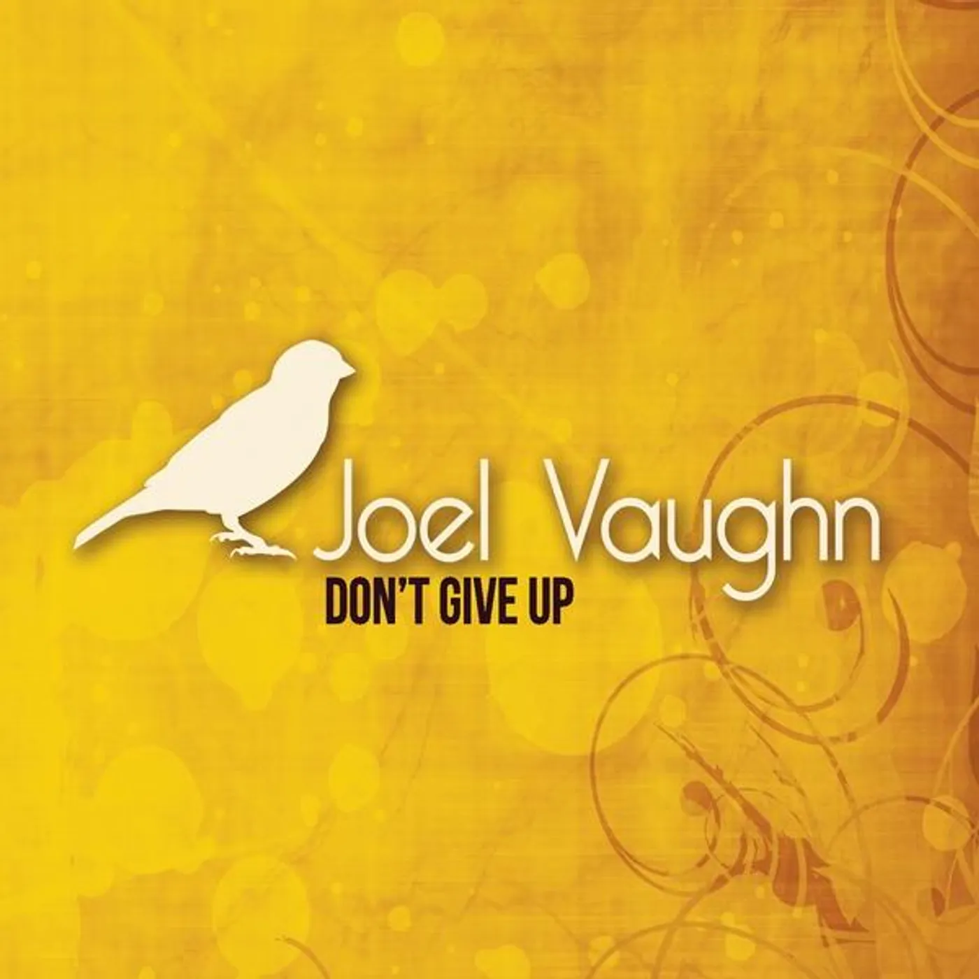 Joel Vaughn DON'T GIVE UP CD