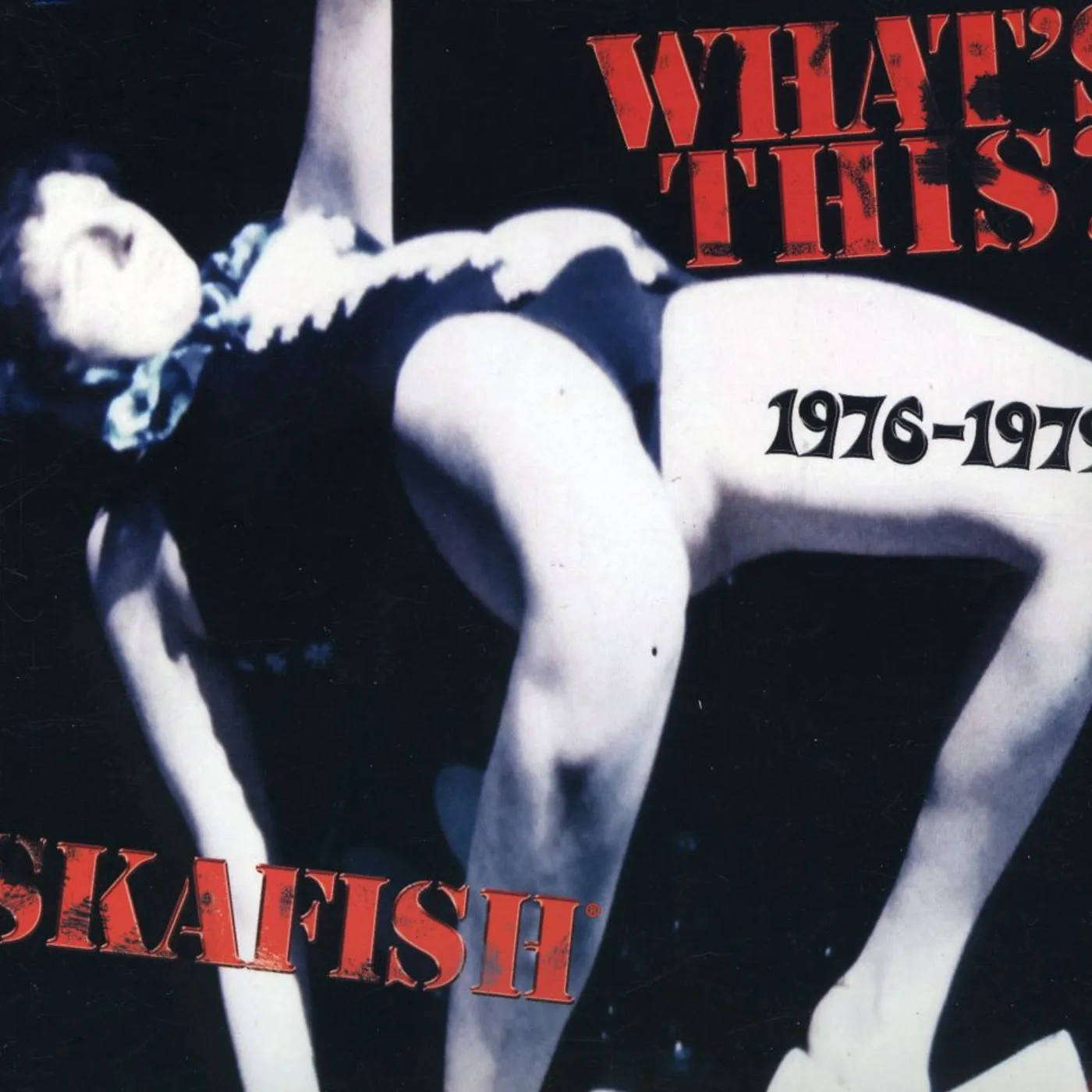 Skafish WHAT'S THIS? 1976-79 CD
