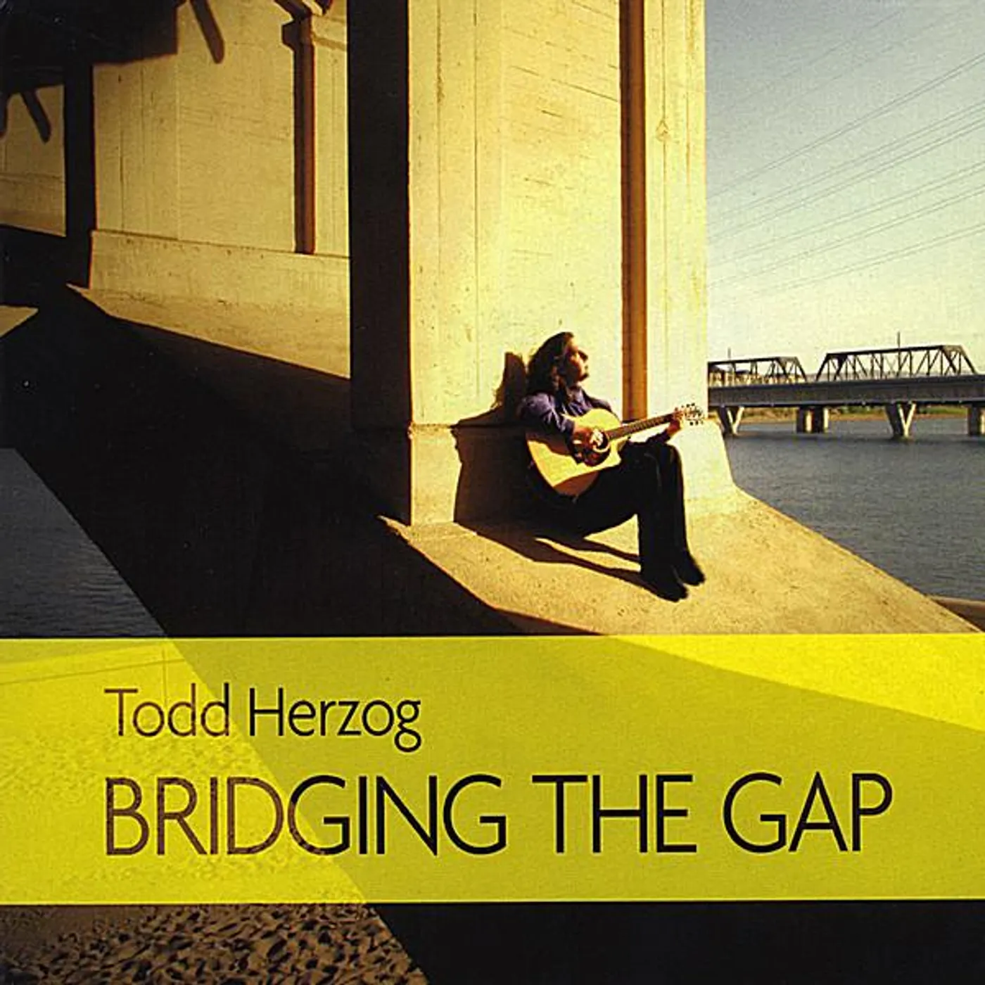 Todd Herzog BRIDGING THE GAP CD