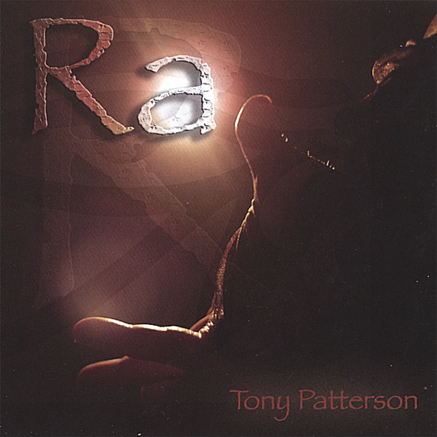 Tony Patterson RA CD