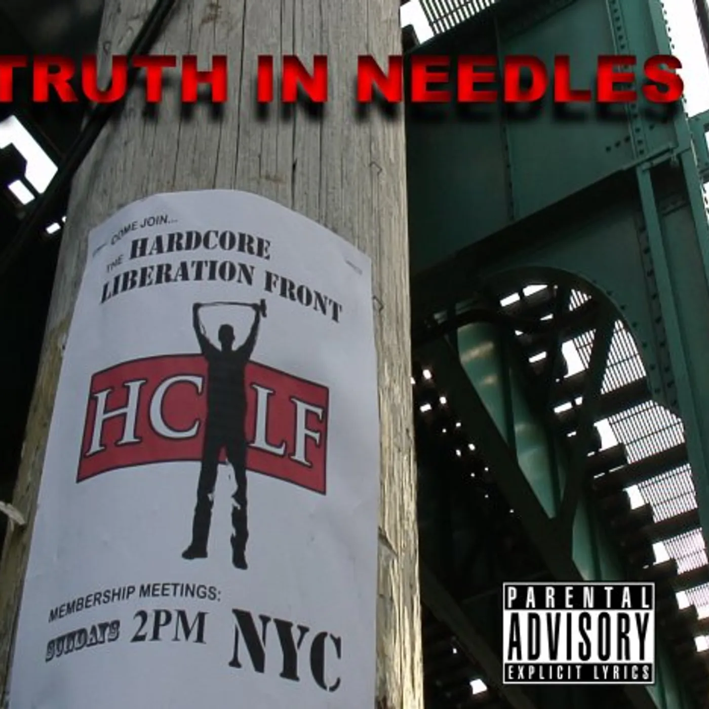Truth In Needles HARDCORE LIBERATION FRONT CD