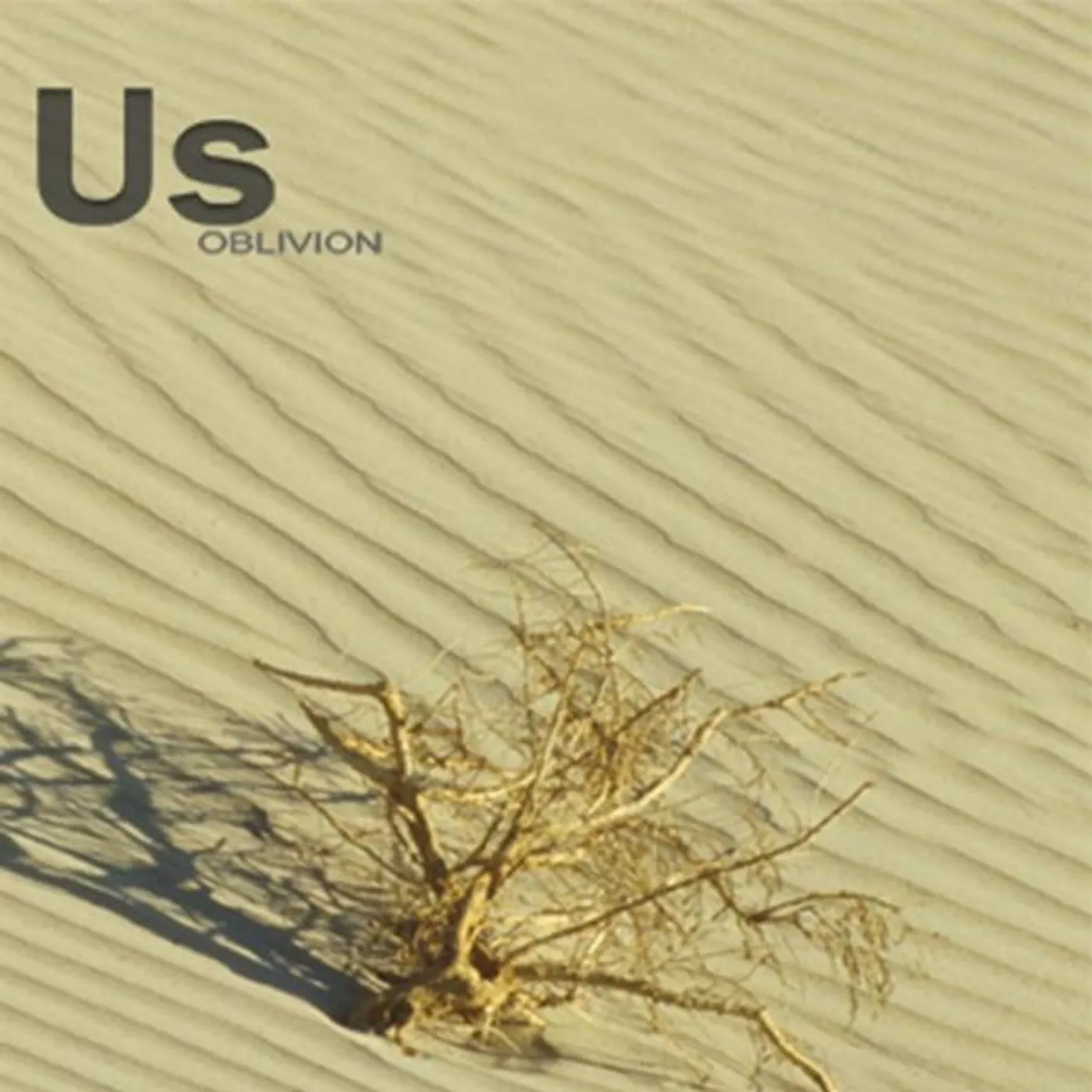Us OBLIVION CD