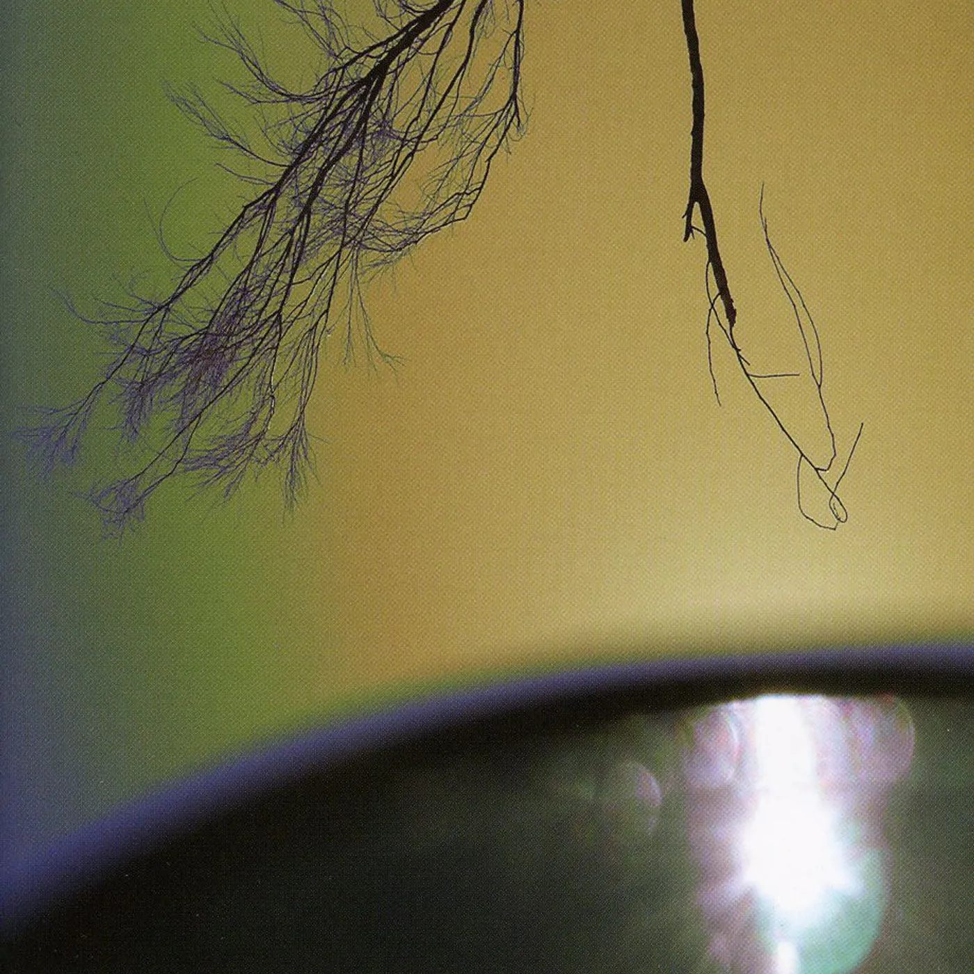 Mike VanPortfleet BEYOND THE HORIZON LINE CD