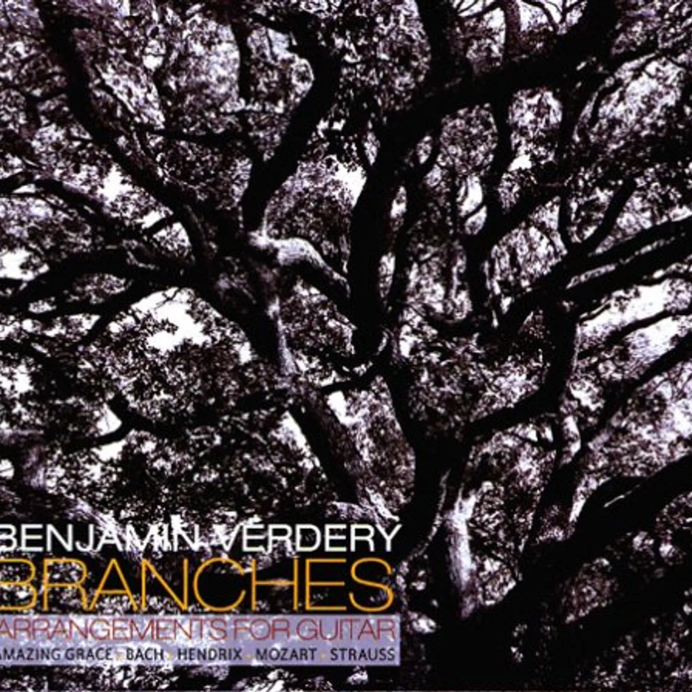 Benjamin Verdery BRANCHES CD