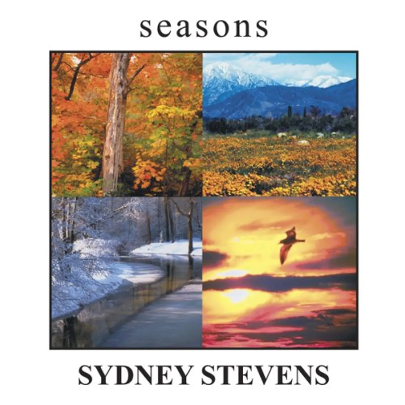Sydney Stevens SEASONS CD