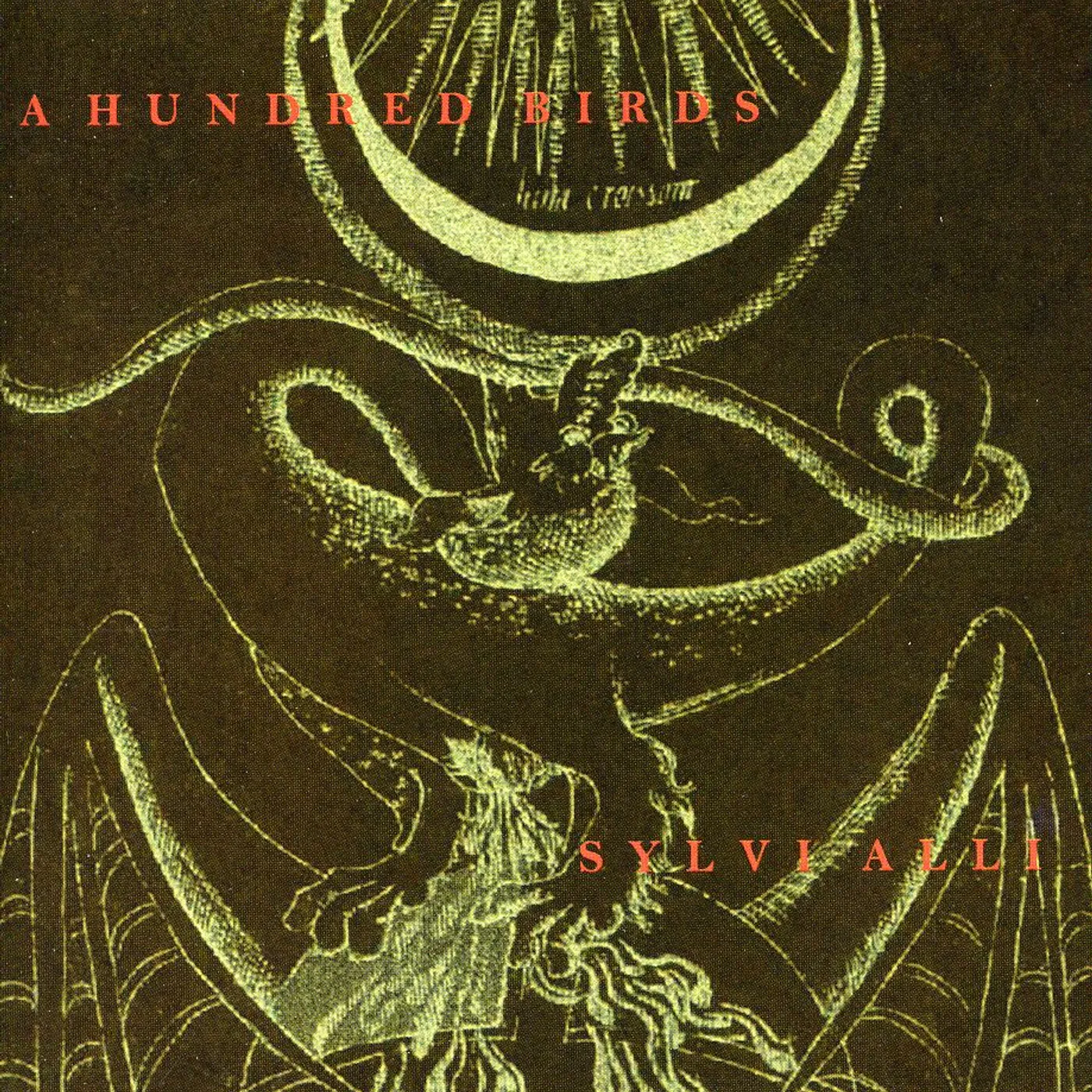 Sylvi Alli HUNDRED BIRDS CD