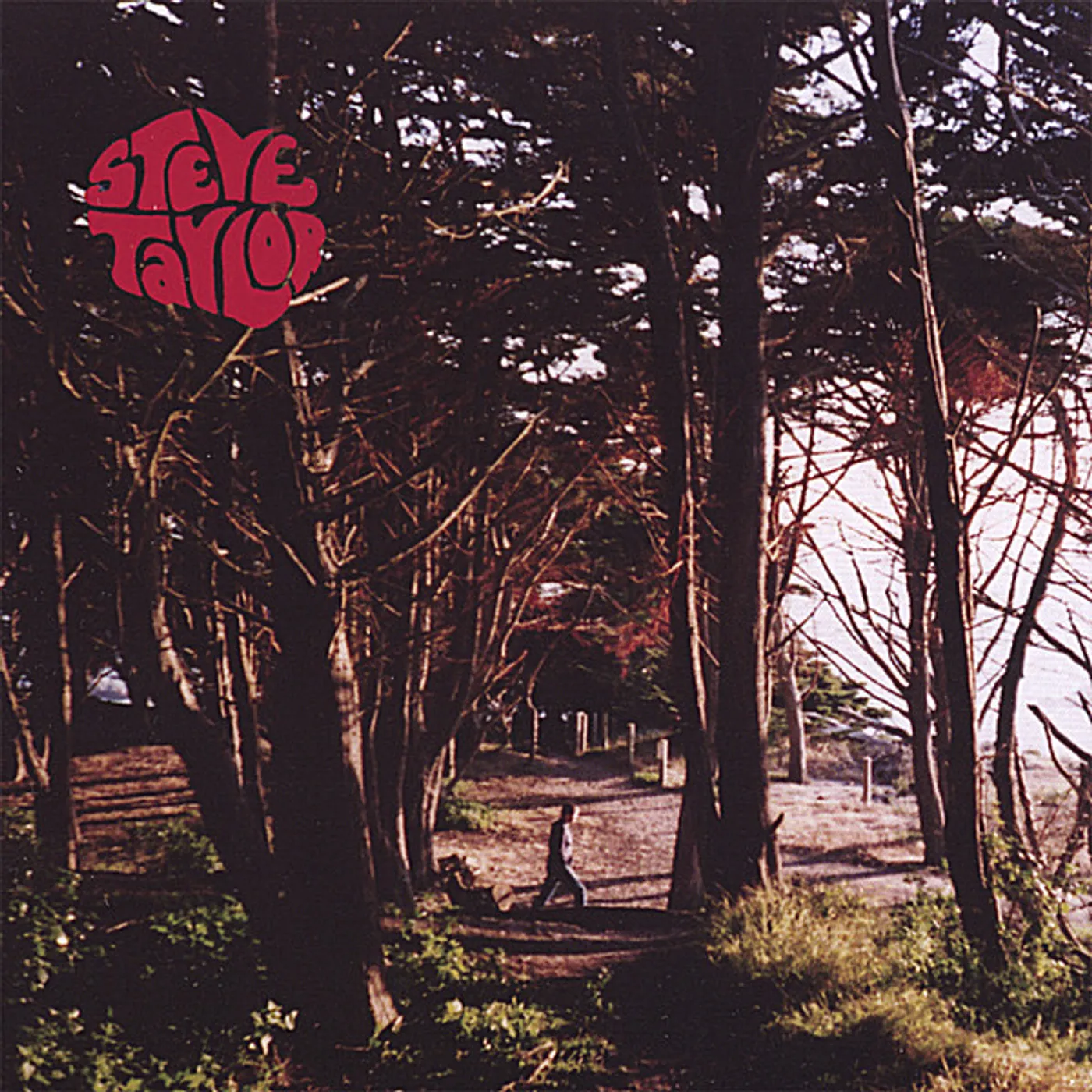 Steve Taylor HAS THE SIZE OF THE ROAD GOT THE BETTER OF YOU? CD