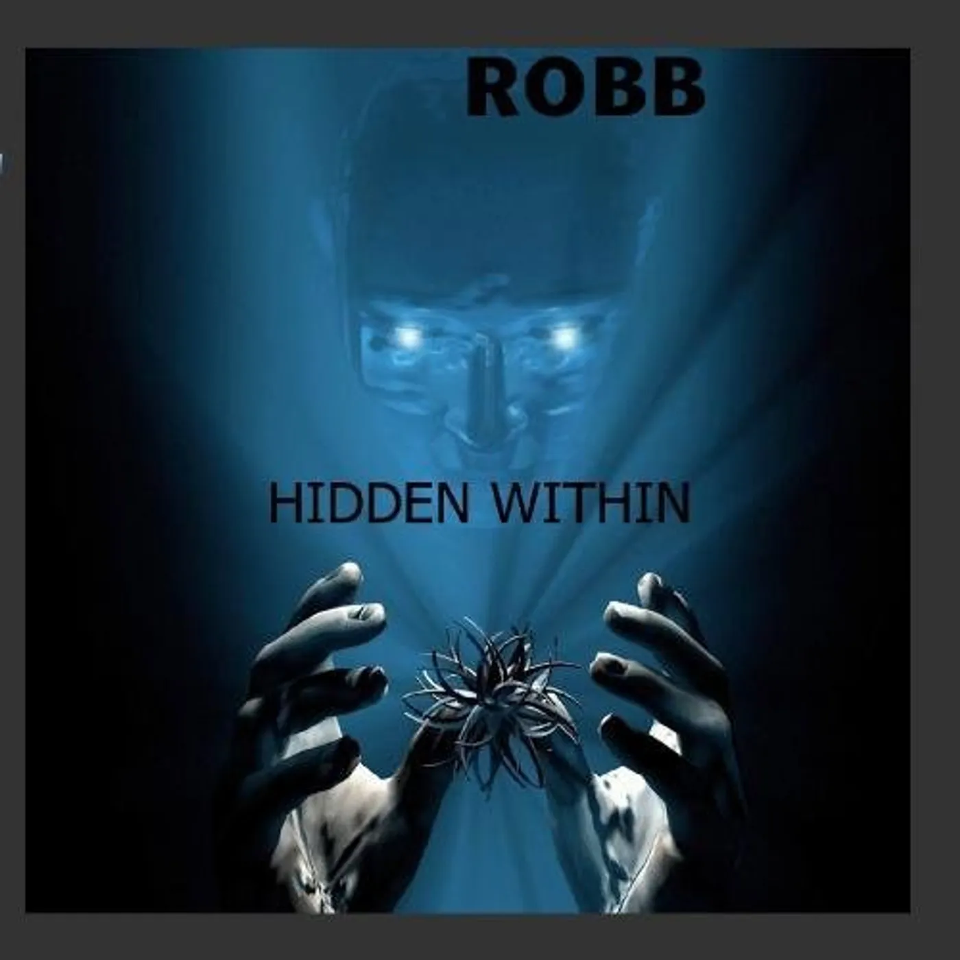ROBB HIDDEN WITHIN CD