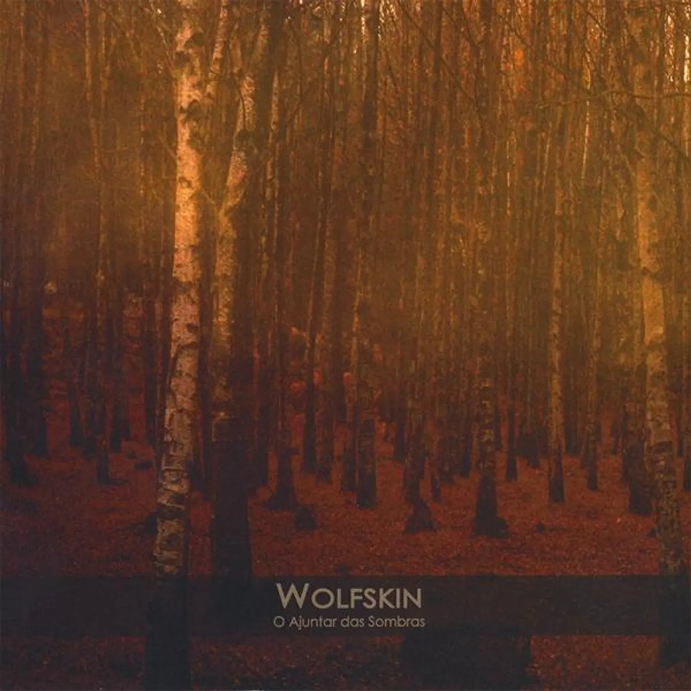 Wolfskin O AJUNTAR DAS SOMBRAS CD