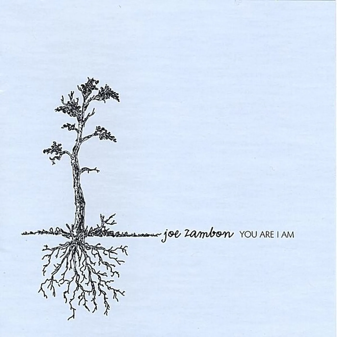 Joe Zambon YOU ARE I AM CD