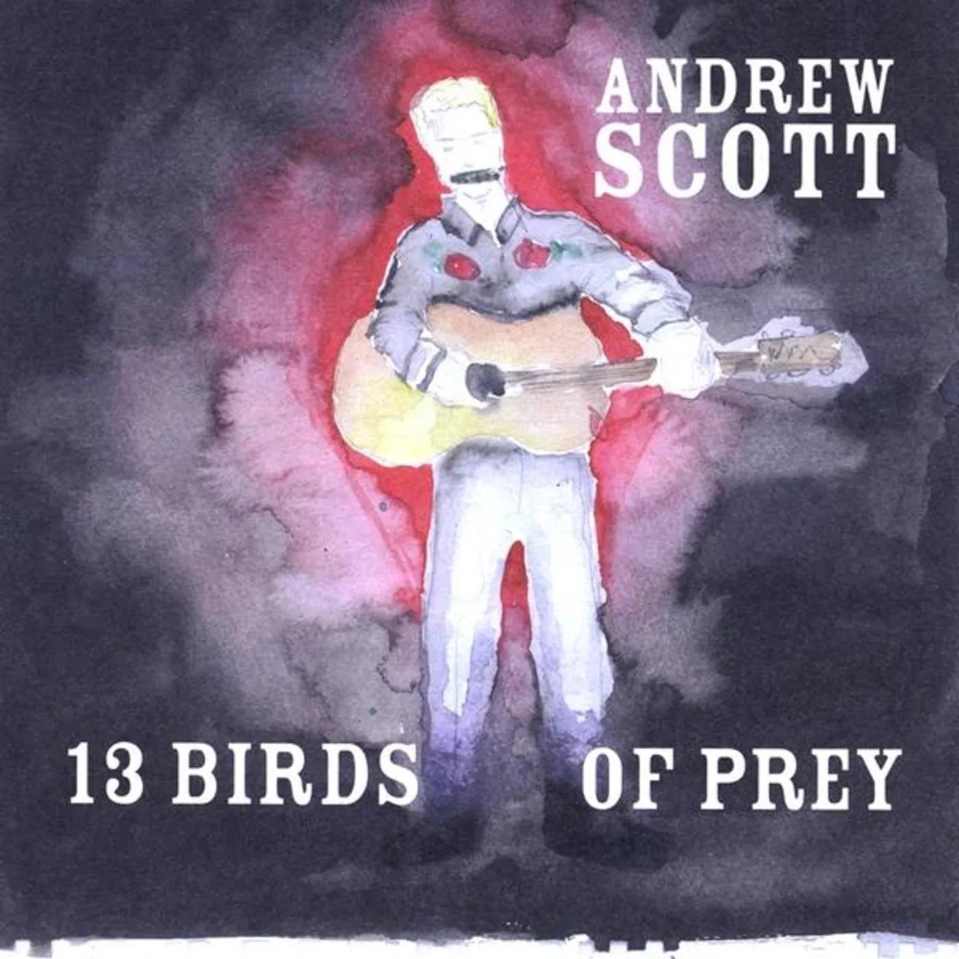 Andrew Scott 13 BIRDS OF PREY CD