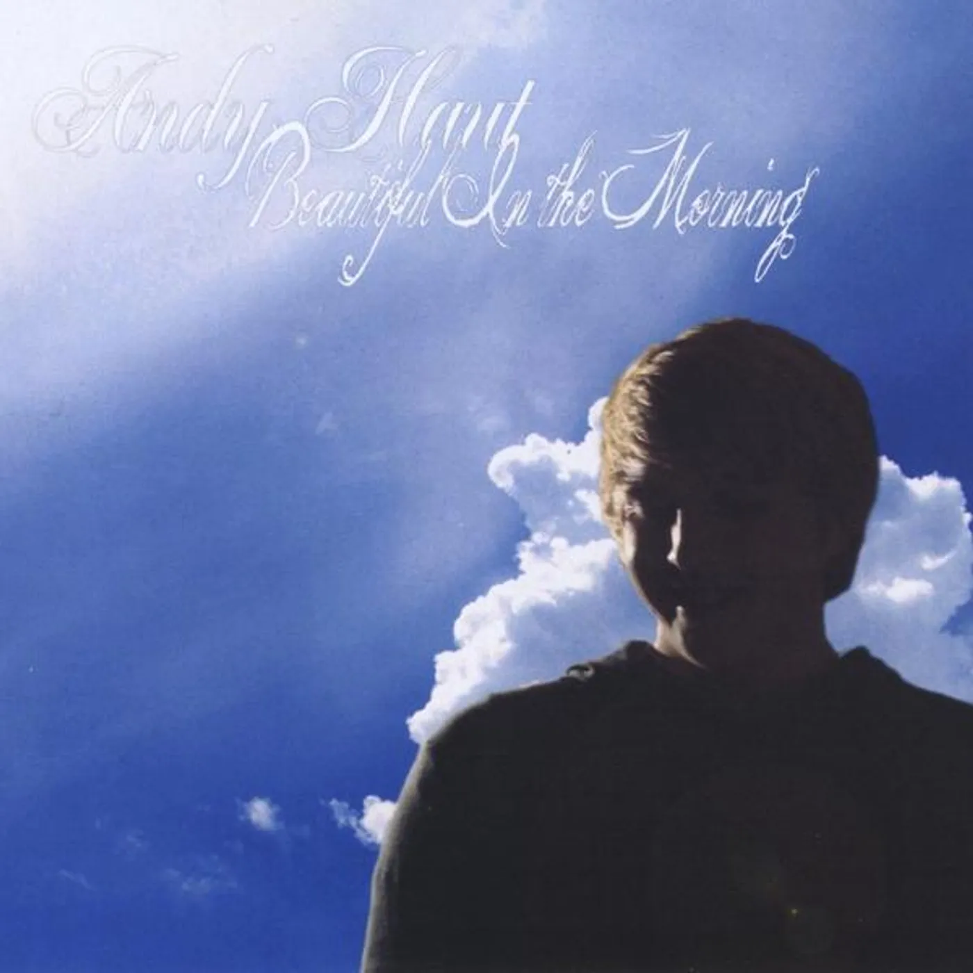 Andy Haut BEAUTIFUL IN THE MORNING CD