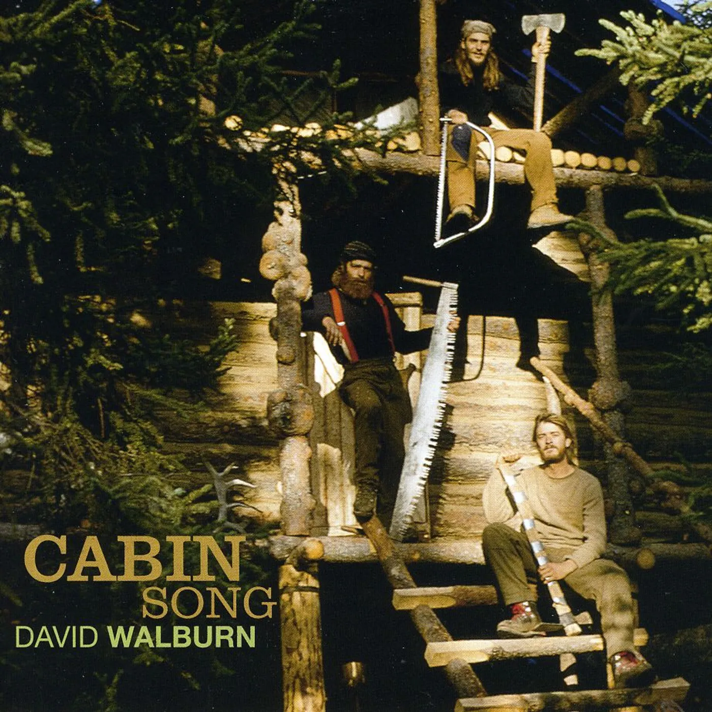 David Walburn CABIN SONG CD