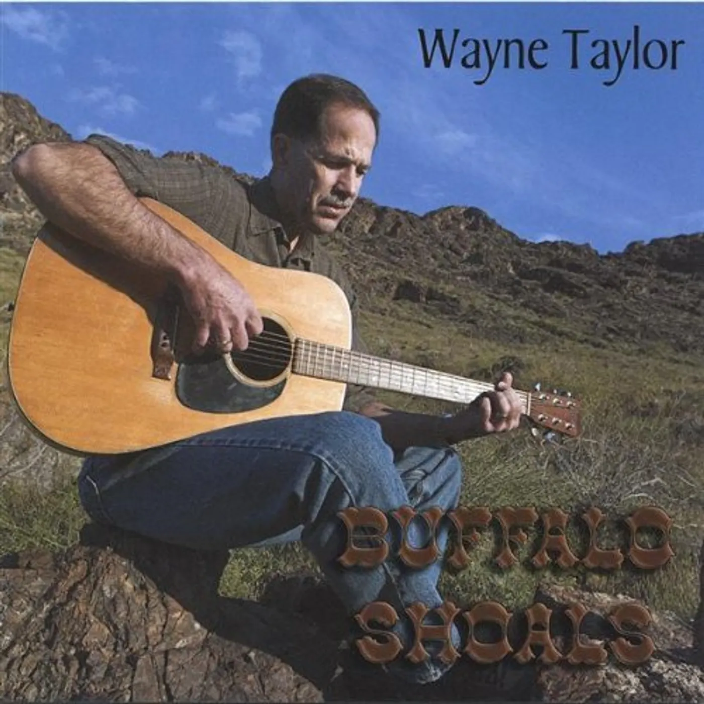 Wayne Taylor BUFFALO SHOALS CD