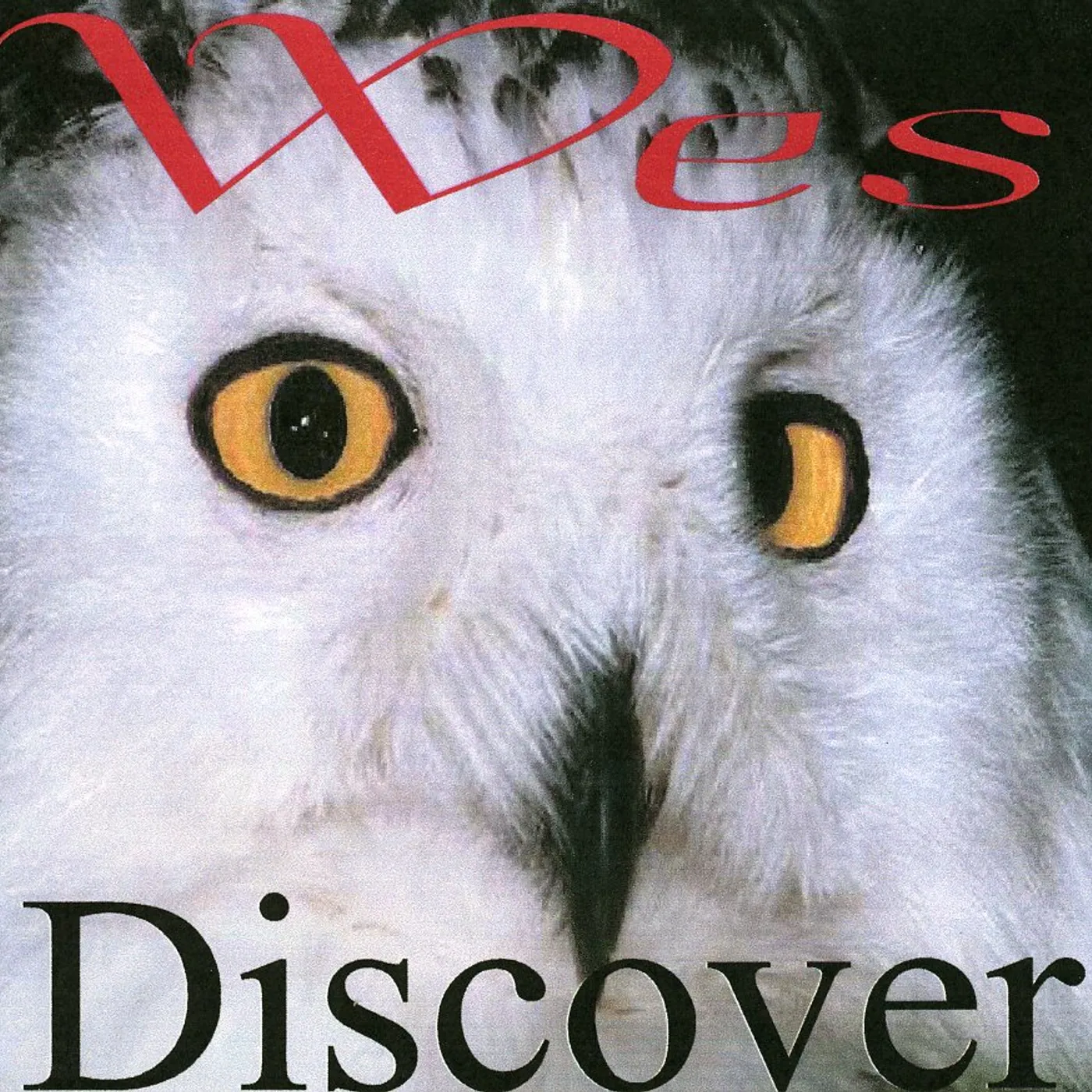 Wes DISCOVER CD