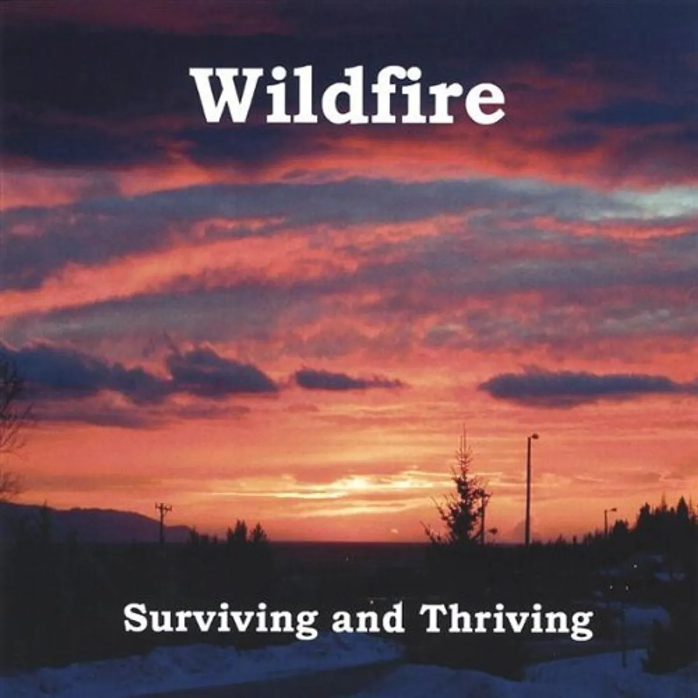 Wildfire SURVIVING & THRIVING CD