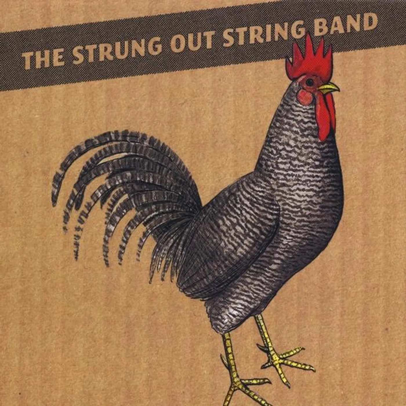 STRUNG OUT STRING BAND CD