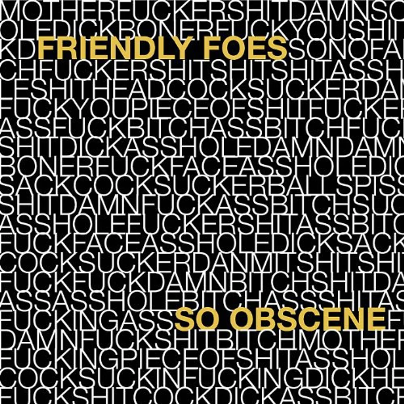 Friendly Foes So Obscene Vinyl Record