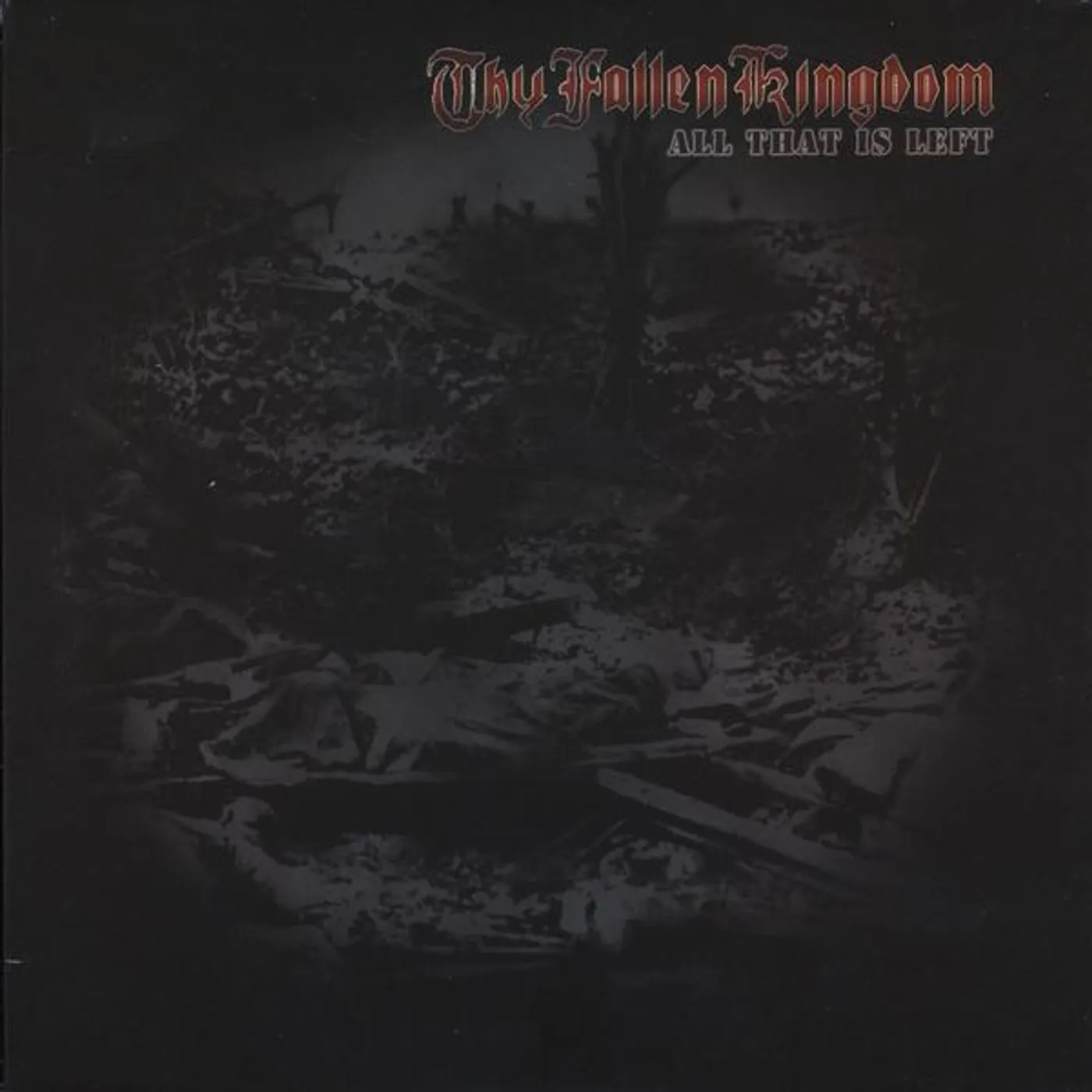Thy Fallen Kingdom ALL THAT IS LEFT CD