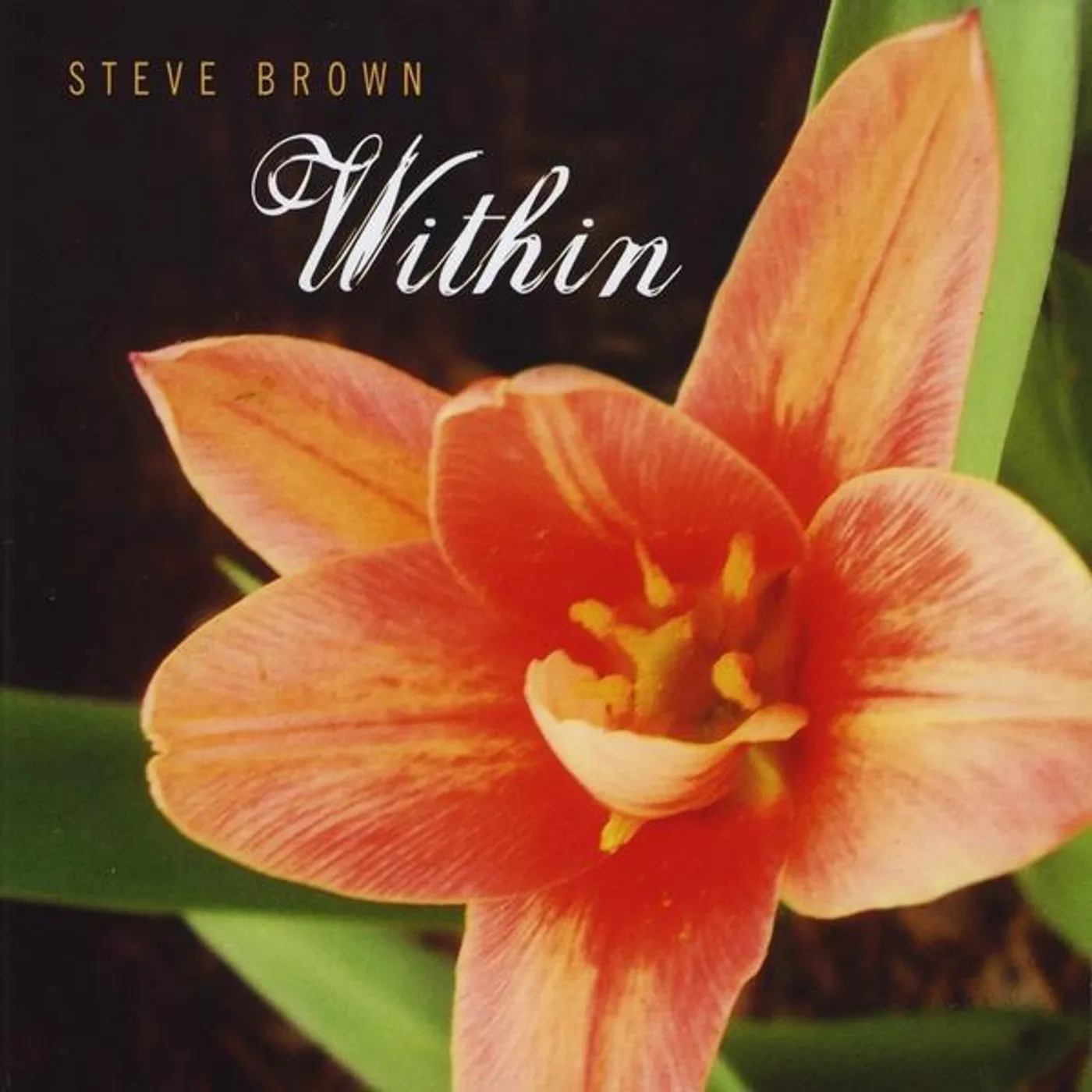 Steve Brown WITHIN CD