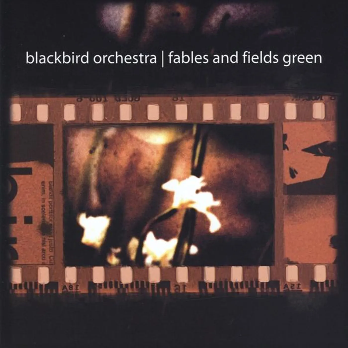 Blackbird Orchestra FABLES & FIELDS GREEN CD