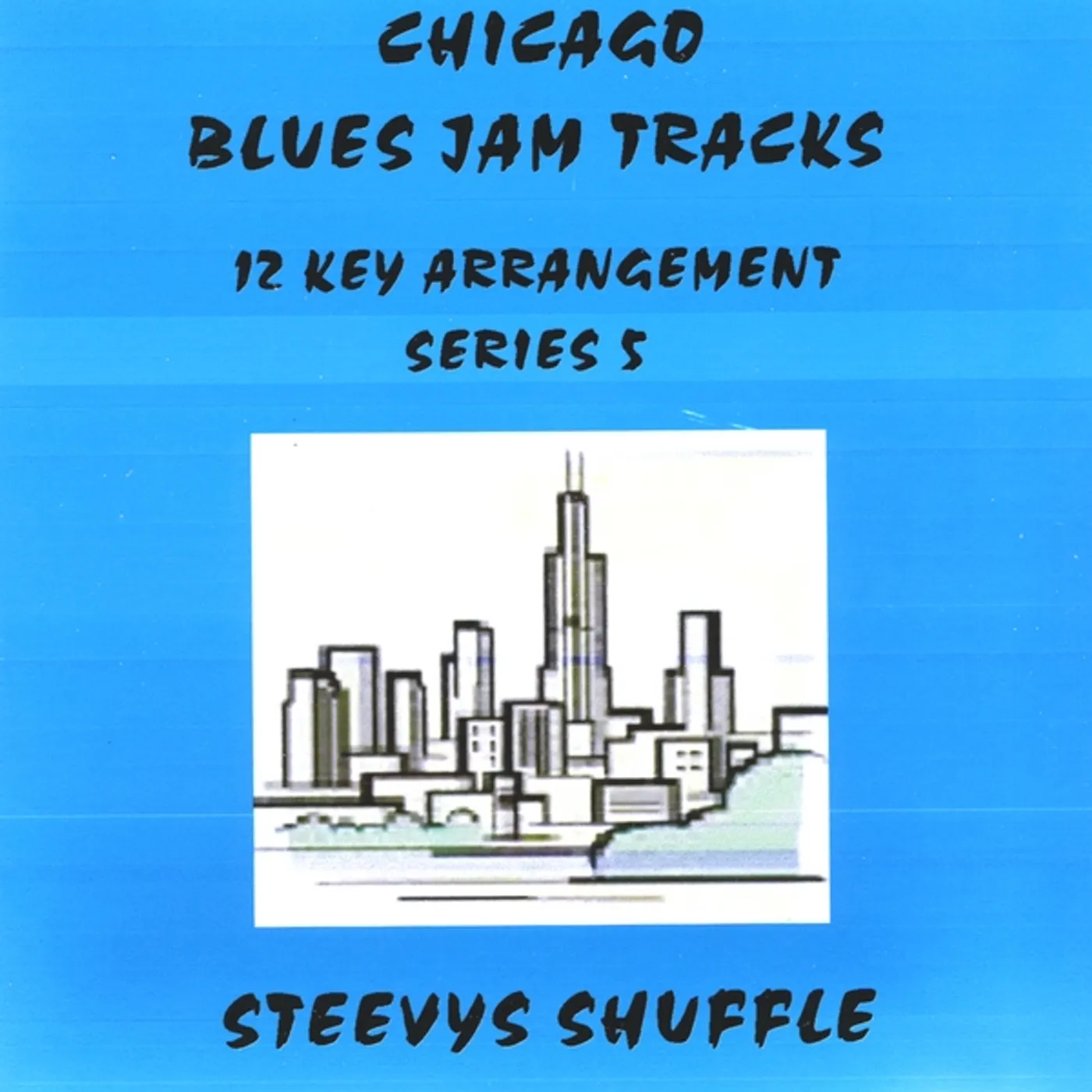 Matthews & Maz CHICAGO BLUES JAM TRACKS STEEVYS SHUFFLE CD