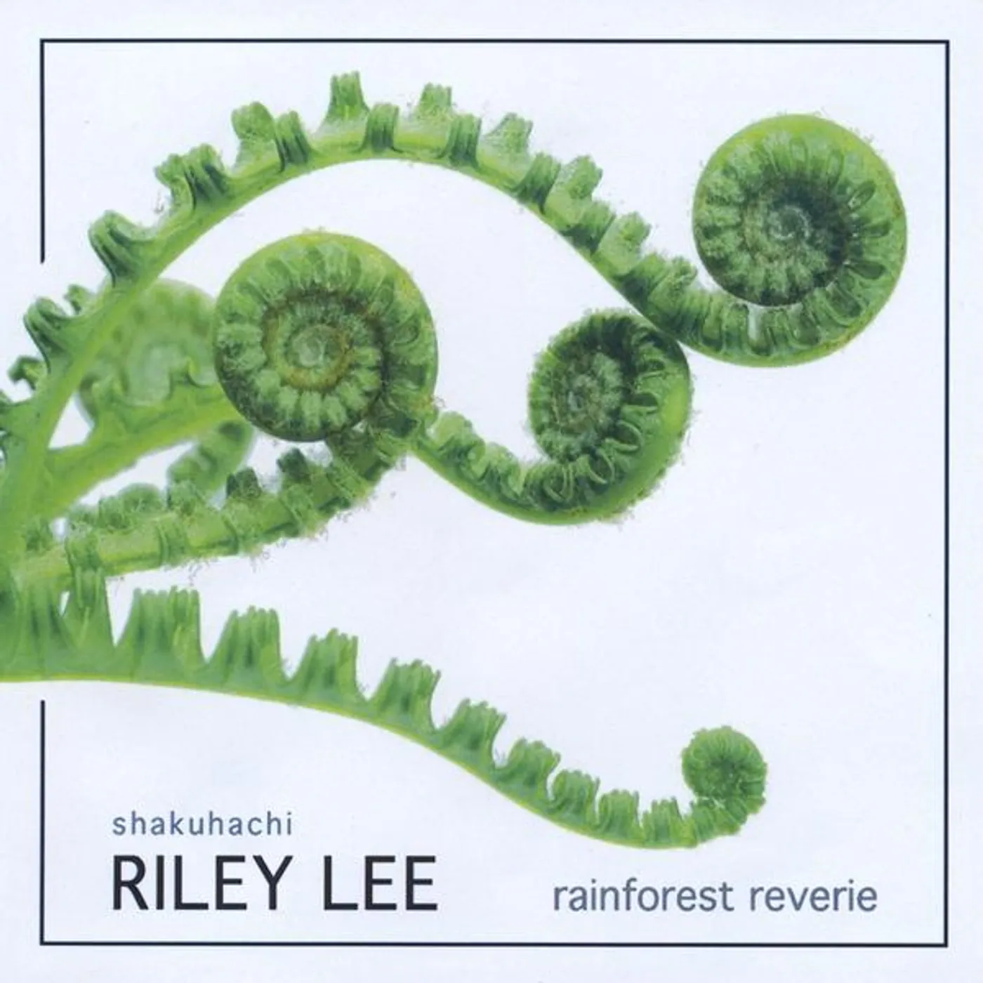 Riley Lee RAINFOREST REVERIE CD