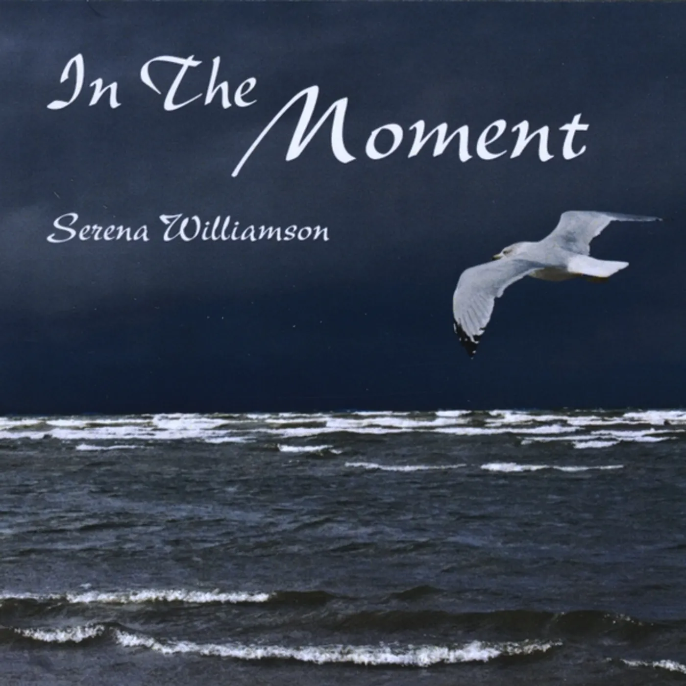 Serena Williamson IN THE MOMENT CD
