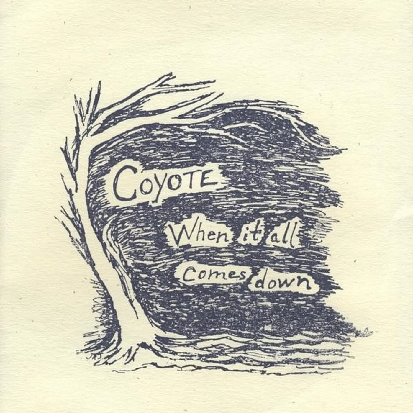 Coyote WHEN IT ALL COMES DOWN CD